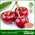 Hot sell frozen cherry juice powder